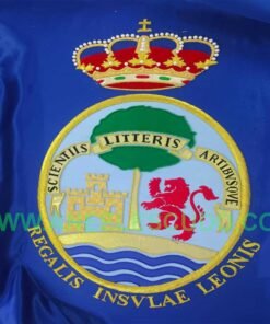 Bandera Grande 951304