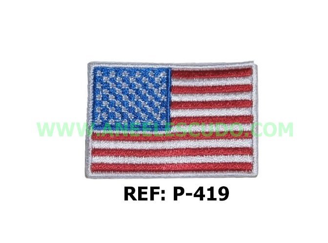 Parche De Estados Unidos P-419