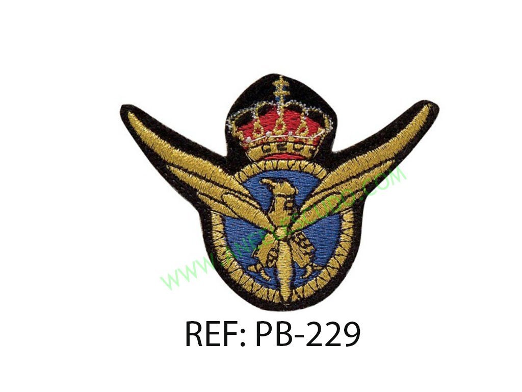 Parches De Piloto PB-229