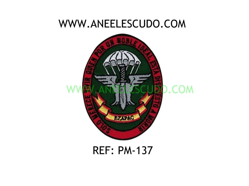 Parches De Ezpac PM-137