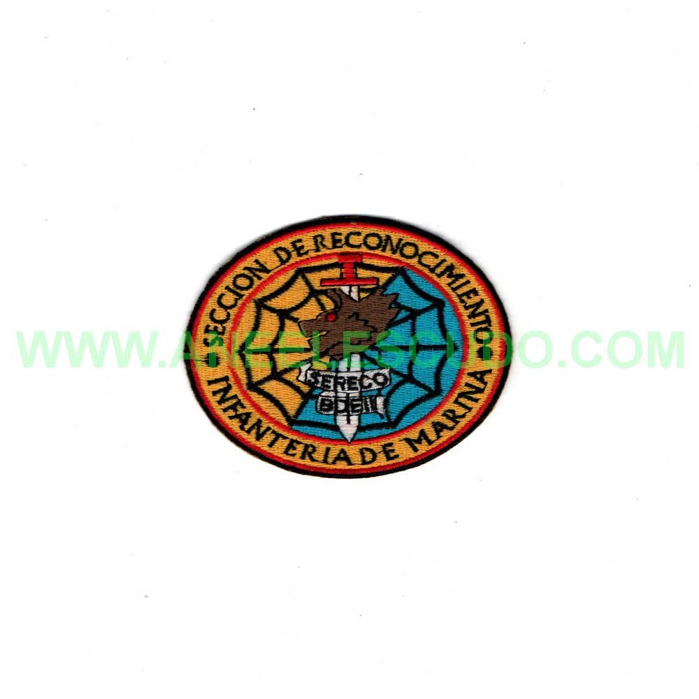 Parche Insignia P-176