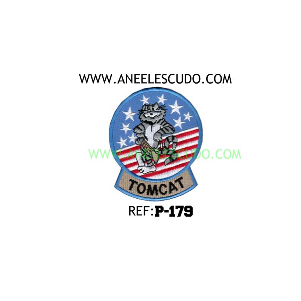 Parche Insignia Aviación P-179