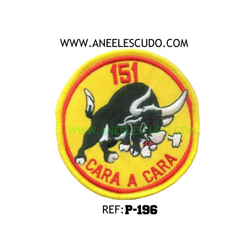 Parche Boina Verde P-196