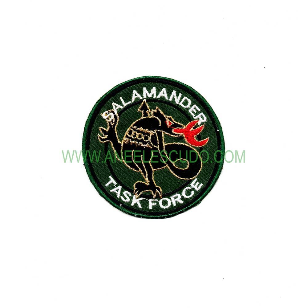 Parche Salamanca Air Force P-22