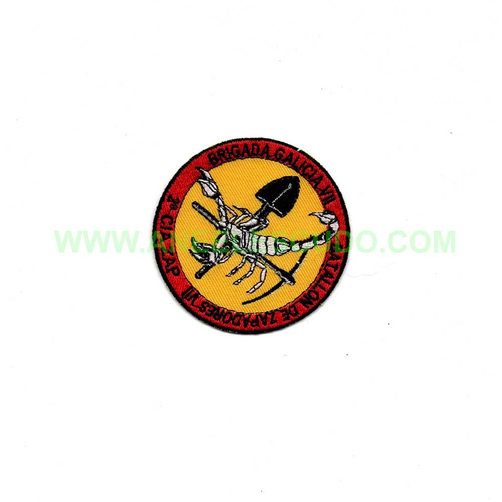 Parche Insignia P-49