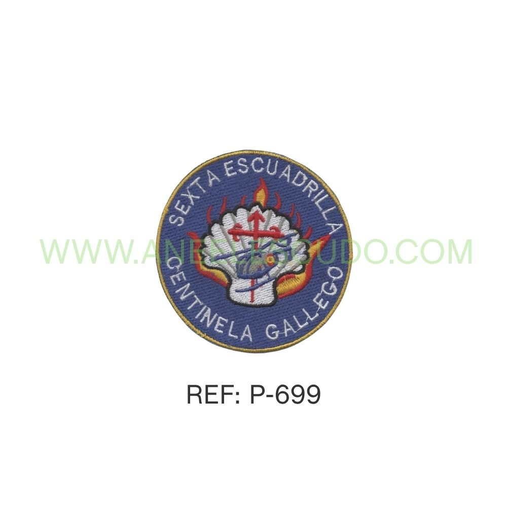 Parche De Sexta Escuadrilla P-699